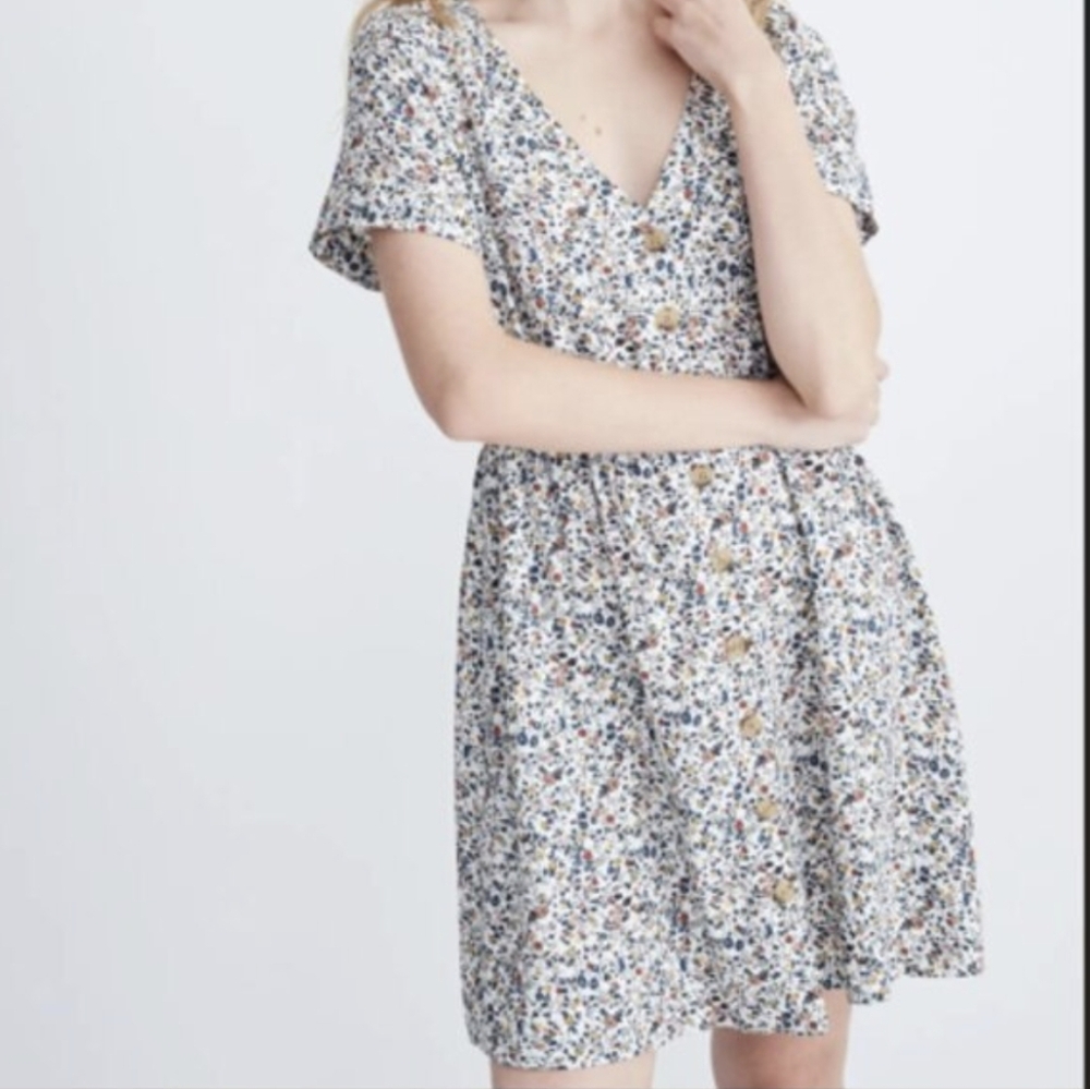 Madewell Day Dress In Blooming Vine